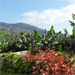 Casas das Pedras