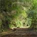 Wandern Diashow